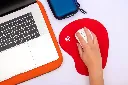 20.webp